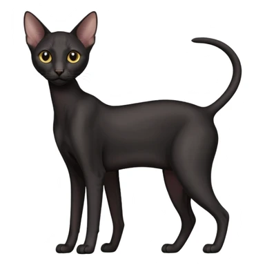 Black oriental shorthair sticker