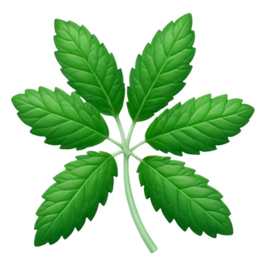 Peppermint (Mentha \(\times \) piperita)  sticker