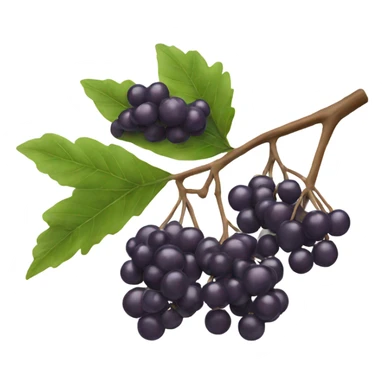 elderberry on a branch sticker