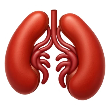 kidneys sticker