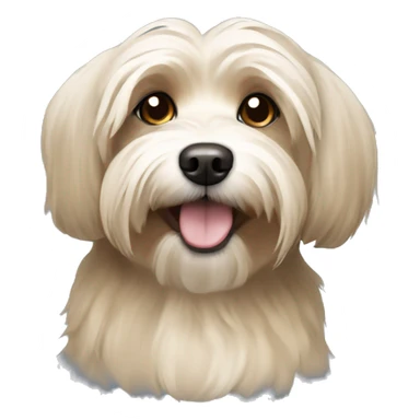 Tan havanese dog sticker