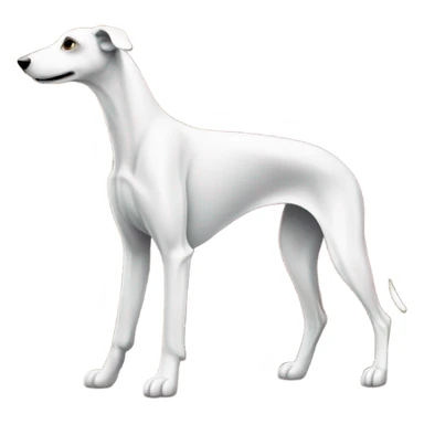 Greyhound in Italy  sticker