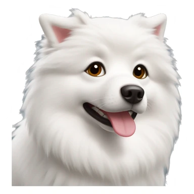 American Eskimo dog ￼ sticker