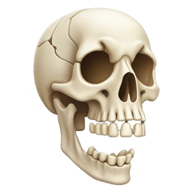 full skeleton dead of a guinea pig  sticker