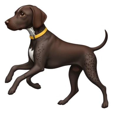 black German shorthair pointer dog running sticker