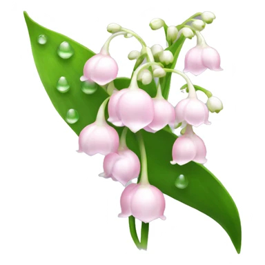 Light pink Lily of the valley flower with long stem and flowers bunched together with dewy water droplets   sticker