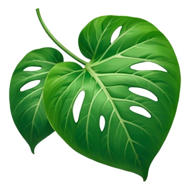 pothos leaf































































 sticker