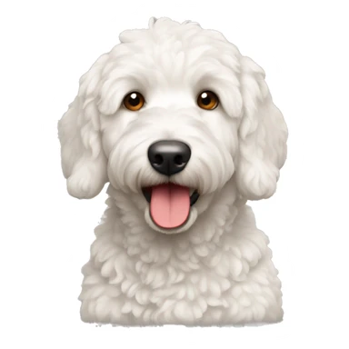 White Mini golden doodle with red ears sticker