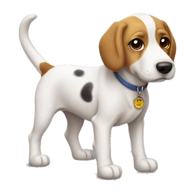 SİLİNDİR ŞAPKALI KÖPEK BALIĞI sticker