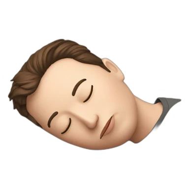 Elon musk a sleeping sticker