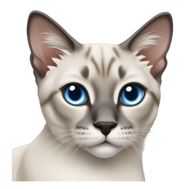 Blue lynx point Siamese cat sticker