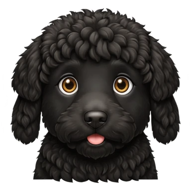 Black labradoodle  sticker