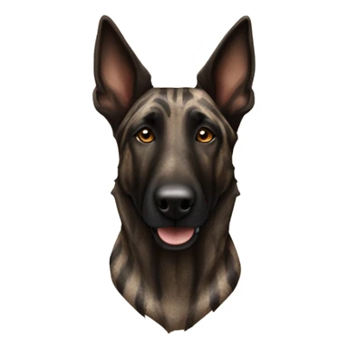 Brindle Dutch shepherd  sticker