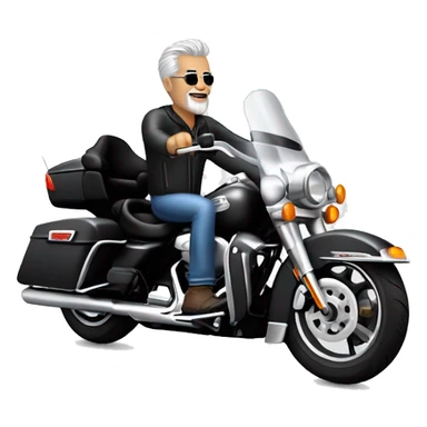 grey haired biker on a Harley Davidson roadking sticker