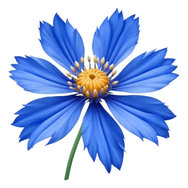 cornflower sticker