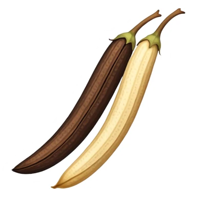 vanilla beans sticker