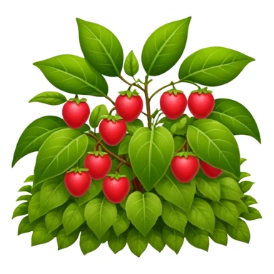 fruit plant garden bed sticker
