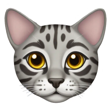 Grey Bengal cat sticker