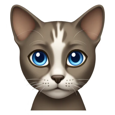 Dark Brown face - beige body and ears female thai cat with blue eyes  sticker