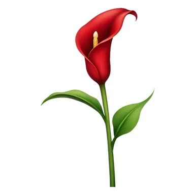 single Red Calla Lily, straight stem sticker