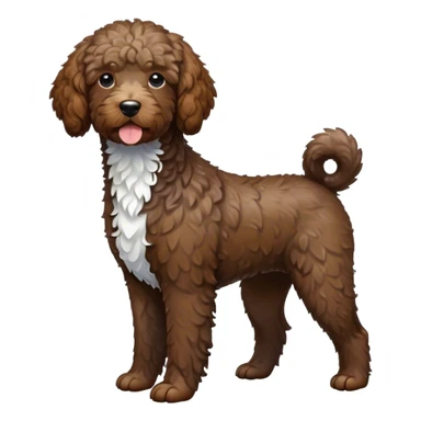 French water dog with white chest sticker