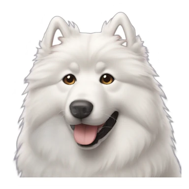 Samoyede sticker