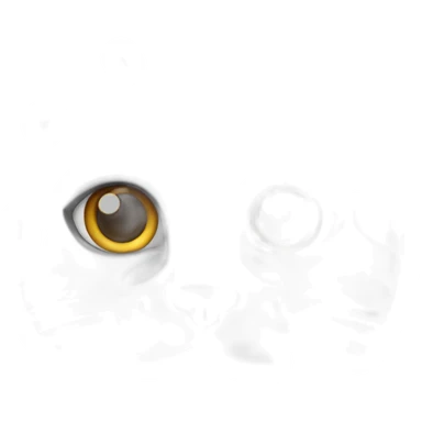 white and grey cat with a grey spot on his chin sticker