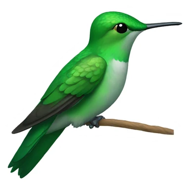 Green hummingbird sticker
