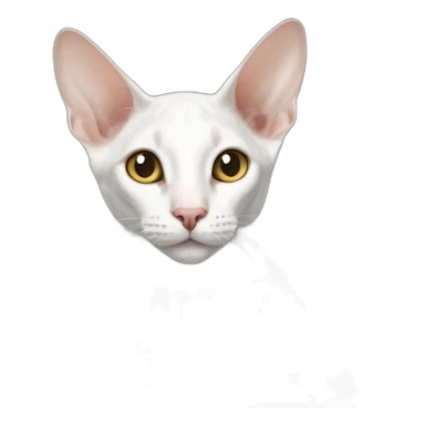 white oriental shorthair cat sticker