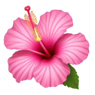 hibiscus flower pink sticker