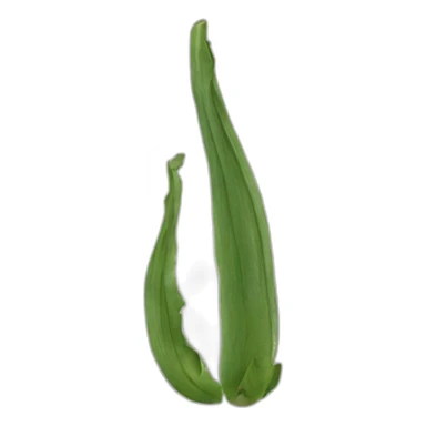 vrai ou faut sticker