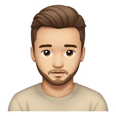 Liam Payne  sticker