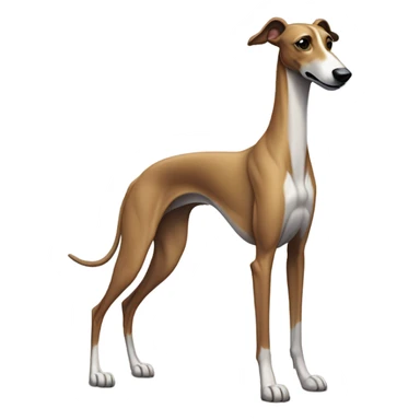 Greyhound sticker
