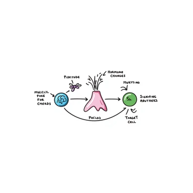 Hormone pathway illustration: pink endocrine gland releasing purple hormone molecules traveling through blue bloodstream to reach green target cells. Hand-drawn diagram showing molecular binding and resulting cellular changes with labeled parts and colorful signaling cascade. sticker