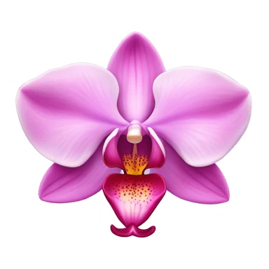 Pink orchid sticker