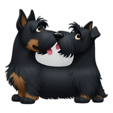 Two black Scottish terrier kissing one male one female sticker