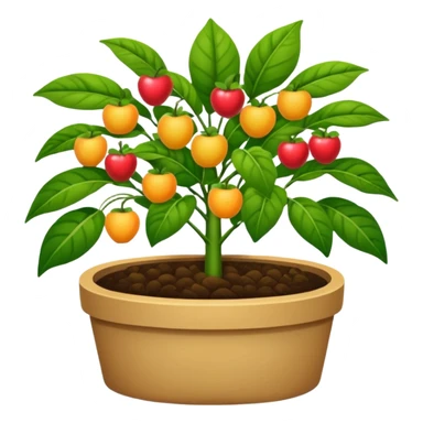 fruit plant garden bed sticker