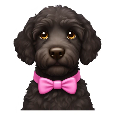 Black labradoodle female dog with brown eyes and a pink collar on with the name Bonnie sticker