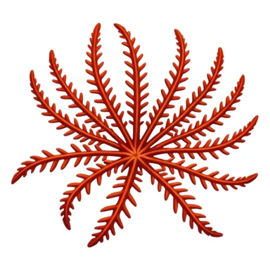 feather star sticker