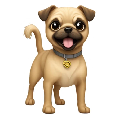 small terrier dog fawn colored wire coat with a pug tail super happy  sticker