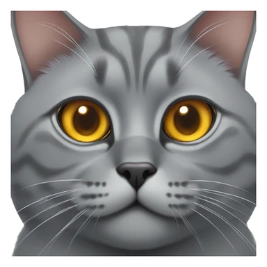 British grey cat with big beautiful amber eyes sticker
