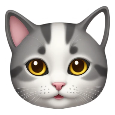 cuty cat sticker