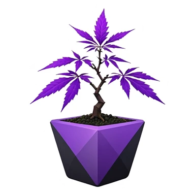  small short black bonsai pot plant purple marijuana maple with triangular angular faceted asymmetrical originally shaped body  sticker