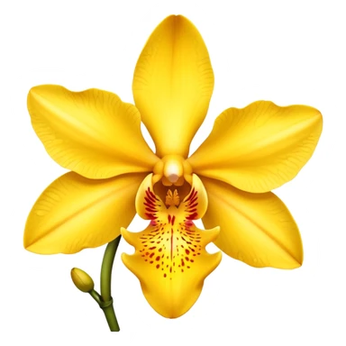 a yellow  orchid sticker