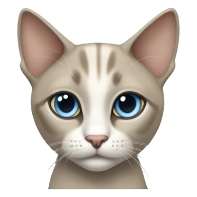 Thai breed cat with a light cream-brown body, dark gray face, ears, and paws. Short fur, sharp ears, and striking light blue eyes with an intense gaze. sticker