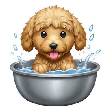 Golden doodle lapping water sticker