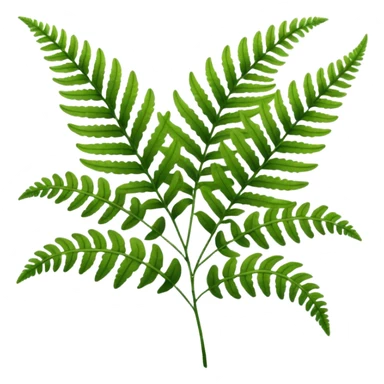 Fern sticker