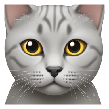 Light grey british shorthair cat  sticker