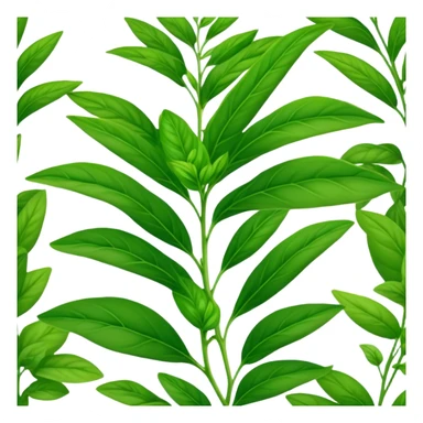 Zeta Levana herbs sticker