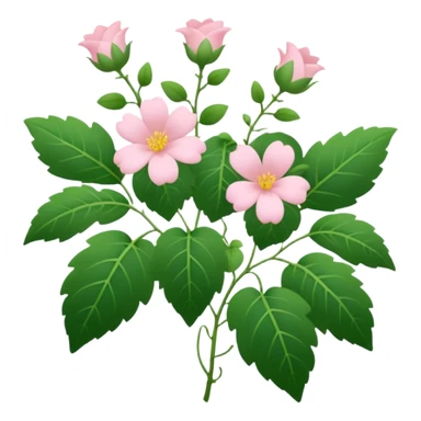 Aesthetic flowers and plants growing from the ground in colours of soft pink matching the deep green leaves (to describe/match with the word flourish) more of a wild bush or vine  sticker